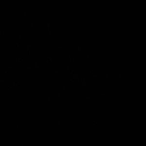 Meet your Posher, Denaija